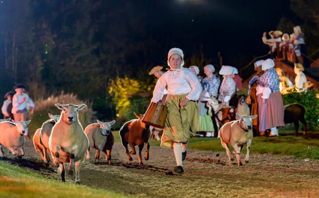 Sheep run in Georgian harvest, Kyrnen an epic tale of England